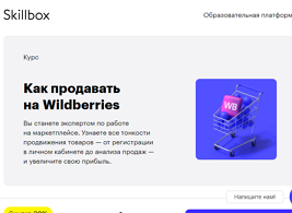 Курс Как продавать на Wildberries (Skillbox.ru)