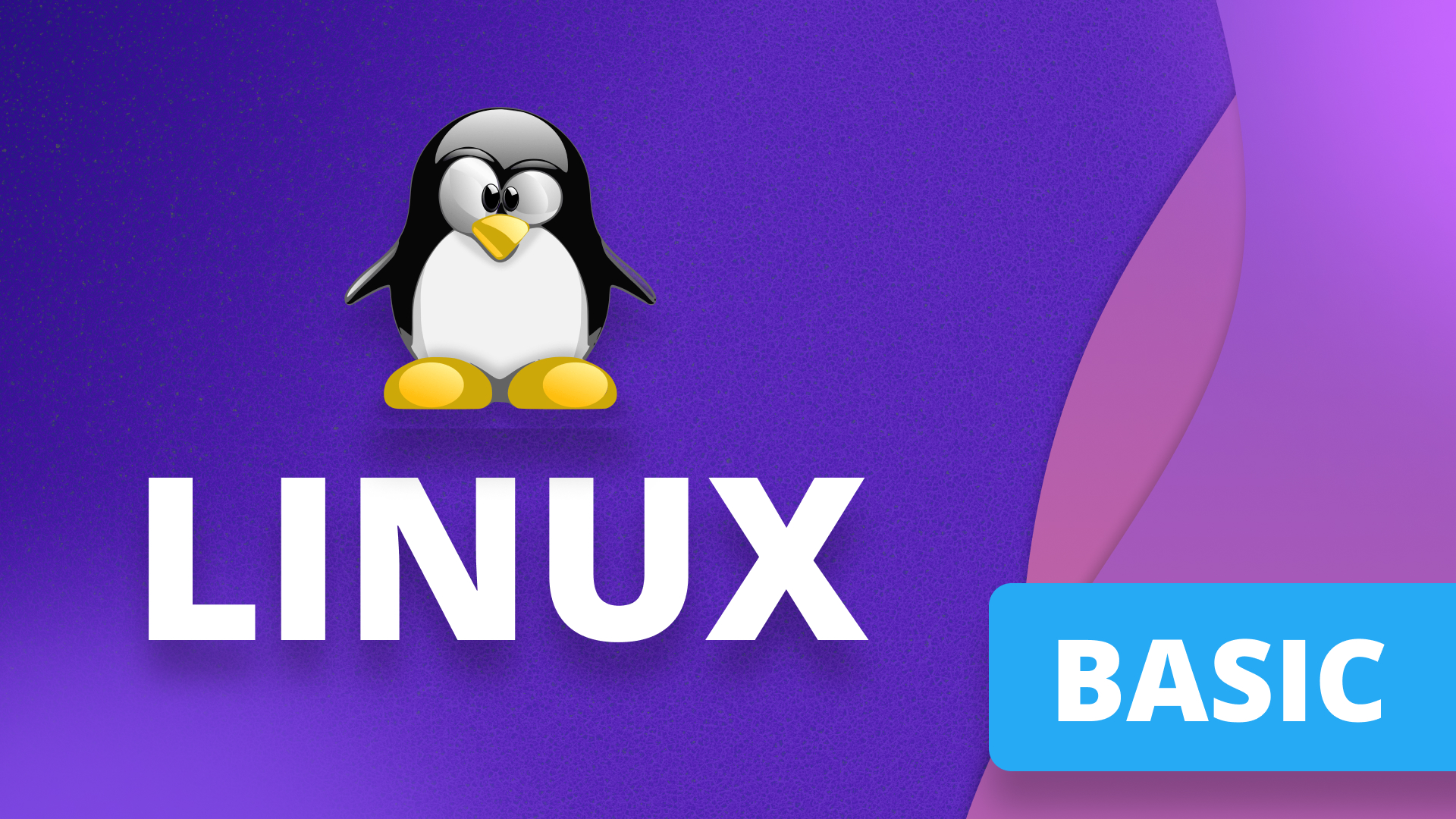 Основы Linux (PurpleSchool)