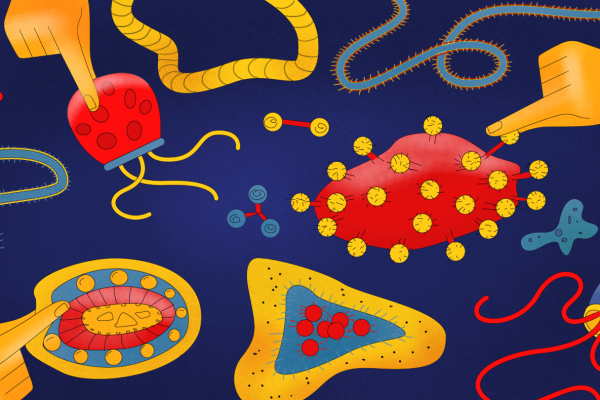 Вирусы и бактерии: главное о лечении (Level One)