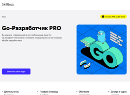 Курс Go-Разработчик PRO (Skillbox.ru)