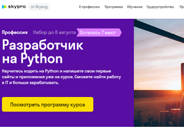 Профессия Разработчик на Python (Skypro)