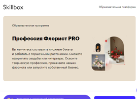 Профессия Флорист PRO (Skillbox.ru)