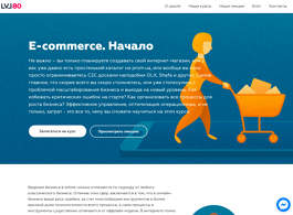 E-commerce. Начало (LVL80)