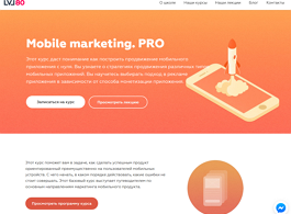 Mobile marketing. PRO (LVL80)
