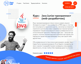 Курс Java Junior программист (веб-разработчик) (EasyUM)