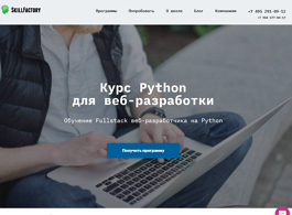 Курс Python для веб-разработки (Skillfactory)