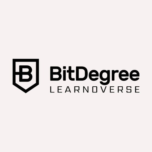 Универсальный курс про Дропшиппинг: Что такое и как начать самому (BitDegree)