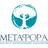 Институт интегративной психологии «Метафора»