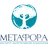 Институт интегративной психологии «Метафора»