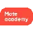 Mate academy